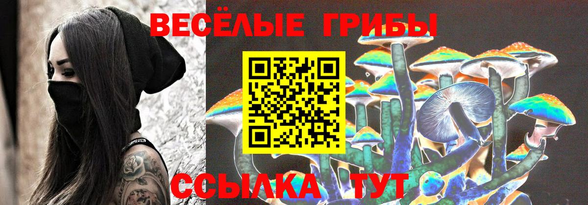 Галлюциногенные грибы GOLDEN TEACHER Дюртюли