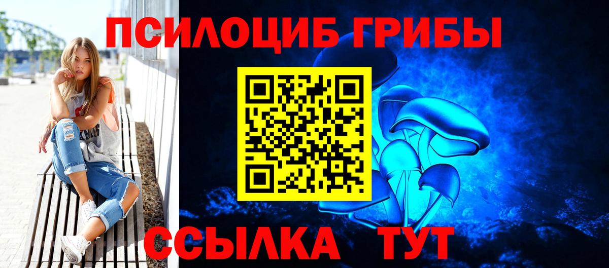 Дюртюли  Псилоцибиновые грибы Cubensis  Вход с VPN  Галлюциногенные грибы Psilocybe 
