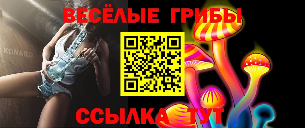 Галлюциногенные грибы GOLDEN TEACHER  Дюртюли 